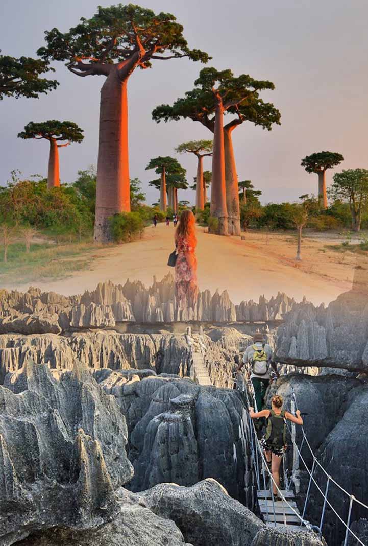 Destination Madagascar